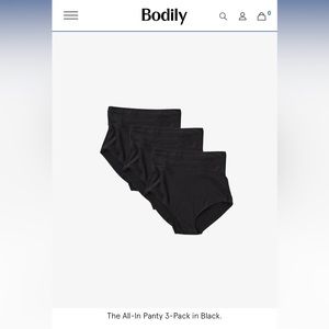 NWT All-In Panty Postpartum Underwear by Bodily